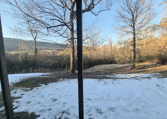 view of yard layered in snow