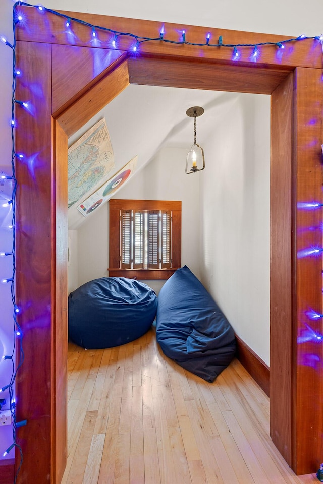 bedroom with light hardwood / wood-style floors and vaulted ceiling