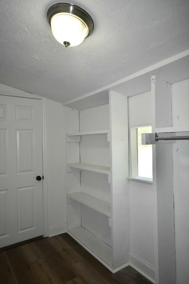 walk in closet featuring dark wood-type flooring