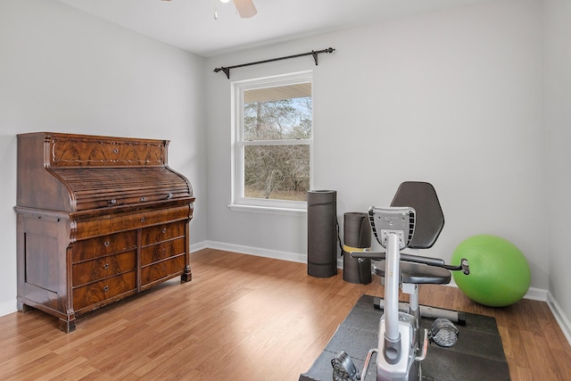 exercise area with ceiling fan and light hardwood / wood-style floors