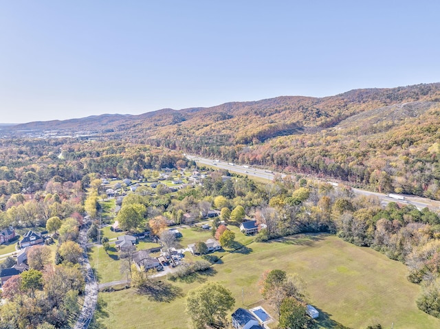 birds eye view of property with a mountain view