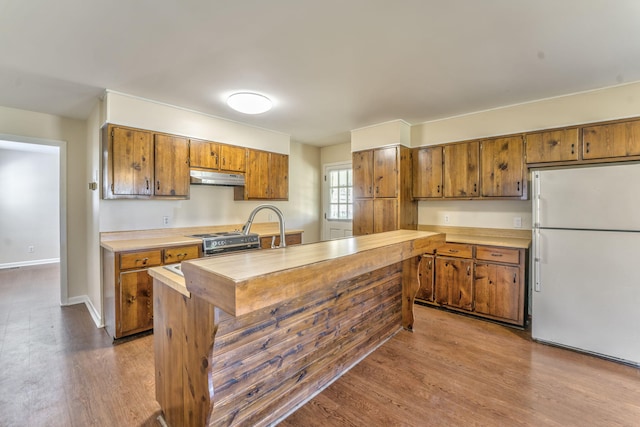 kitchen featuring sink, light hardwood / wood-style floors, stainless steel range oven, and white refrigerator