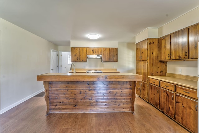 kitchen with dark hardwood / wood-style floors, a kitchen island with sink, and sink