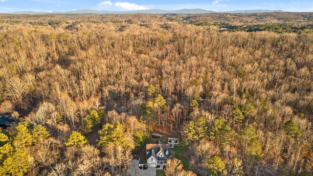 bird's eye view with a mountain view