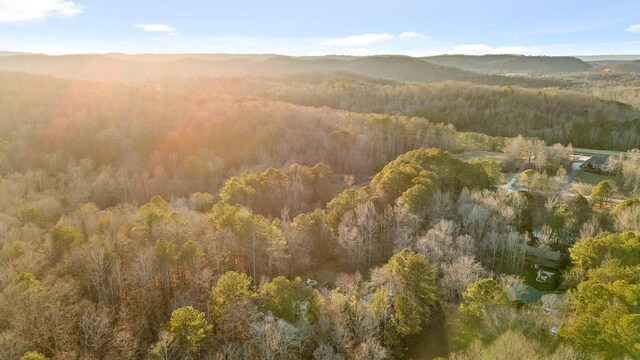 aerial view with a mountain view