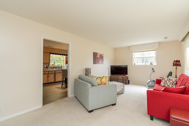 carpeted living room with sink