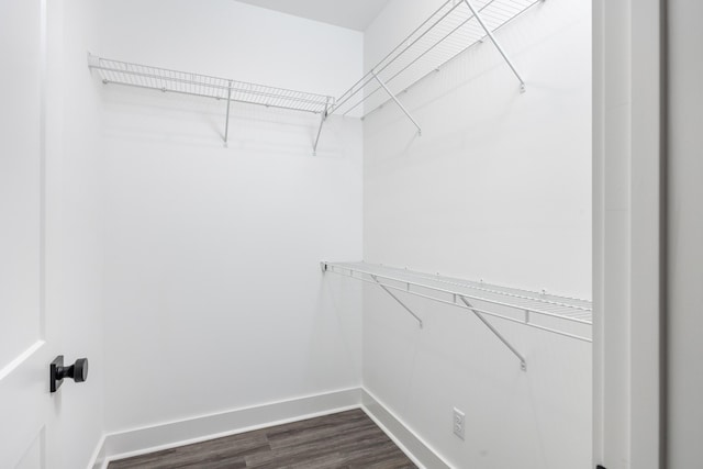 walk in closet with dark wood-type flooring