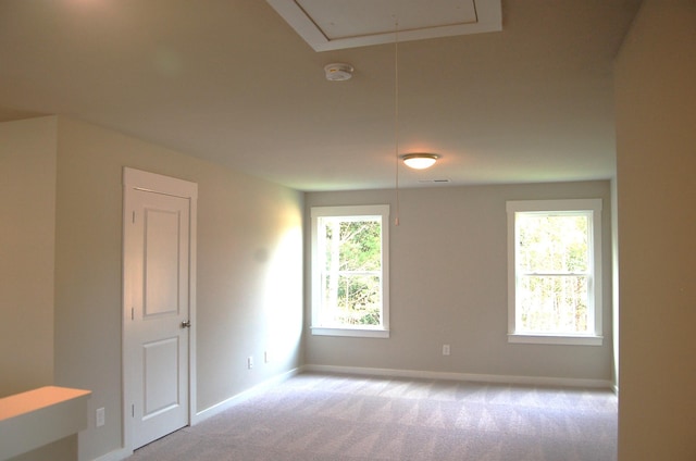 carpeted empty room with a healthy amount of sunlight