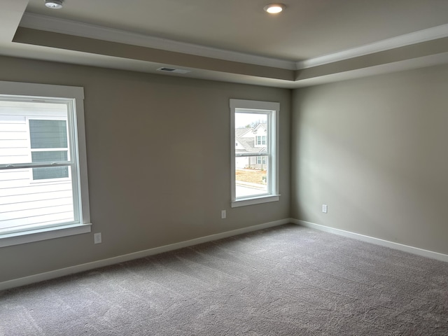 empty room with carpet flooring, a raised ceiling, and ornamental molding