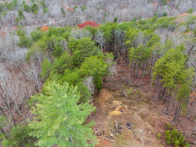 1042 Rocky Top Ln, Sale Creek, TN 37373