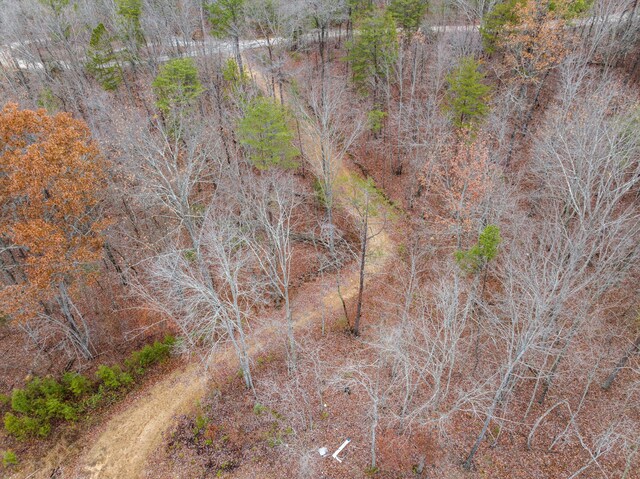 1042 Rocky Top Ln, Sale Creek, TN 37373