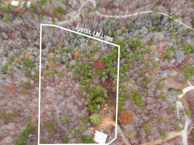 1042 Rocky Top Ln, Sale Creek, TN 37373