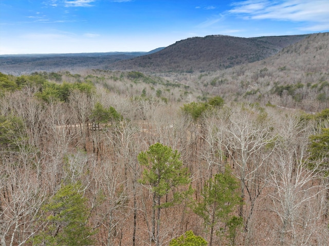 1042 Rocky Top Ln, Sale Creek TN, 37373 land for sale