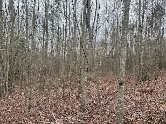 Listing photo 3 for 5.07 Browns Hollow Rd, Tracy City TN 37387