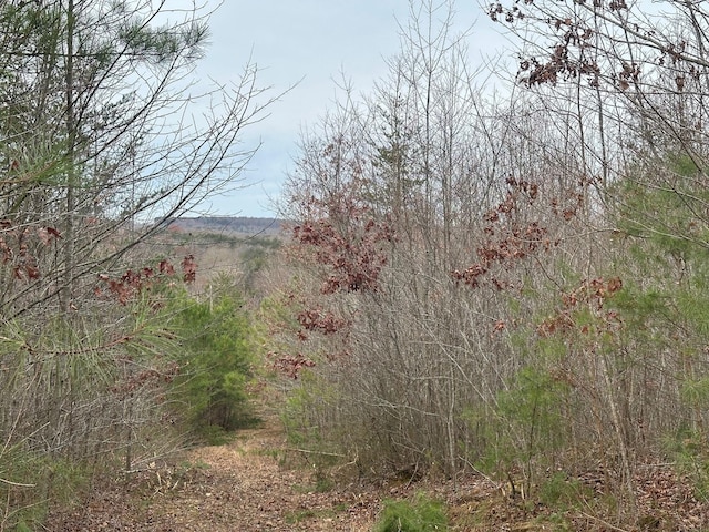 Listing photo 2 for 5.07 Browns Hollow Rd, Tracy City TN 37387