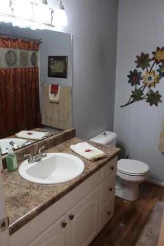 bathroom featuring hardwood / wood-style flooring, vanity, and toilet