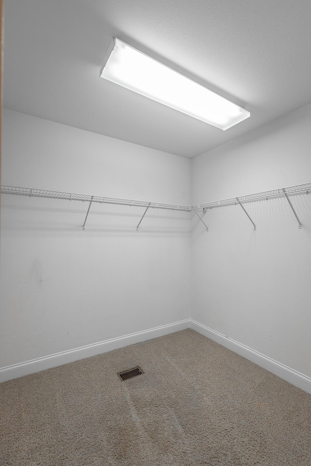 spacious closet featuring carpet floors and visible vents