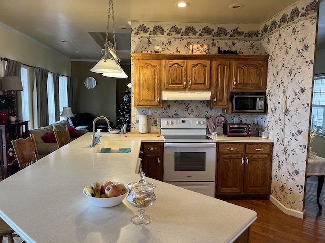 kitchen featuring dark hardwood / wood-style floors, a healthy amount of sunlight, electric stove, and sink