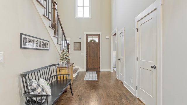 foyer entrance with a towering ceiling and dark wood-type flooring