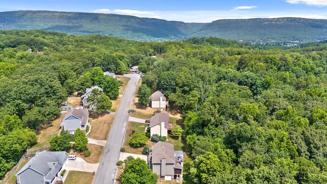 aerial view with a mountain view