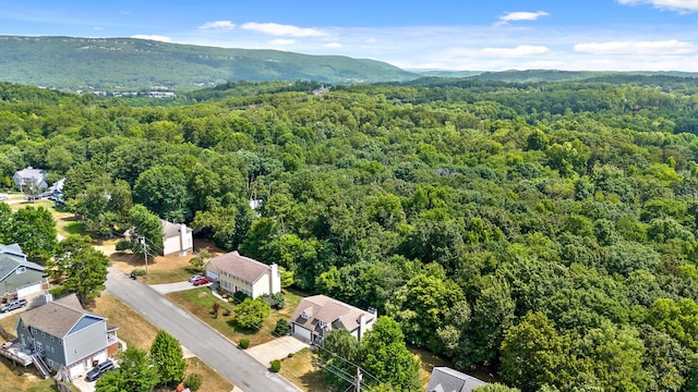 drone / aerial view with a mountain view