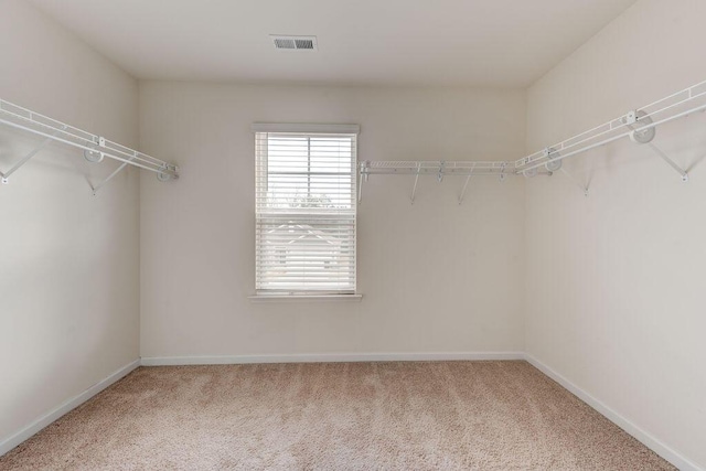 walk in closet with carpet