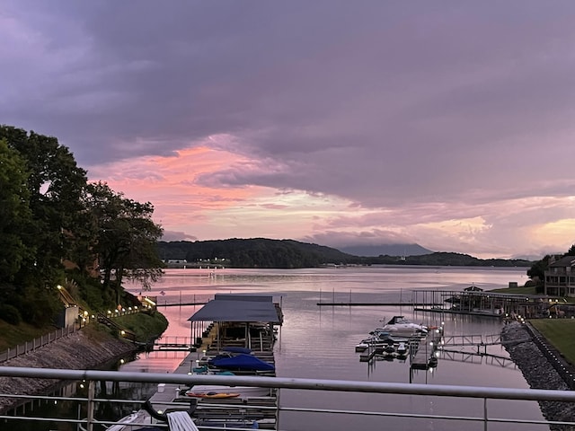 water view featuring a dock