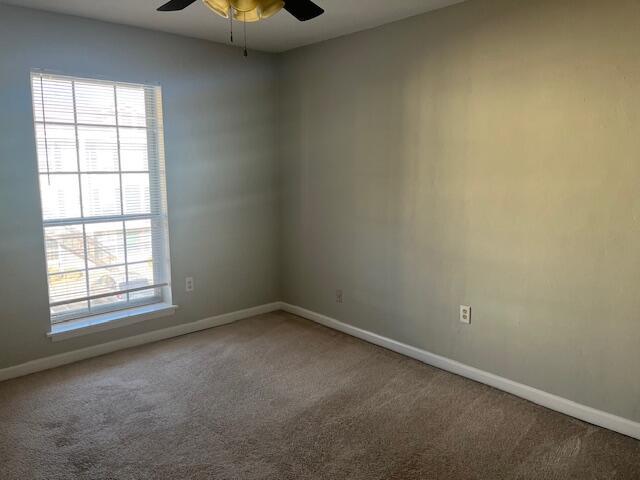 carpeted spare room with ceiling fan and a healthy amount of sunlight