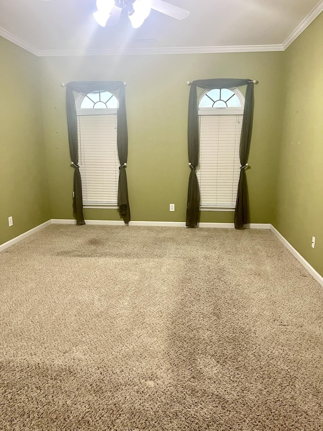 spare room featuring ceiling fan, carpet, and ornamental molding