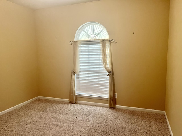 spare room featuring carpet floors