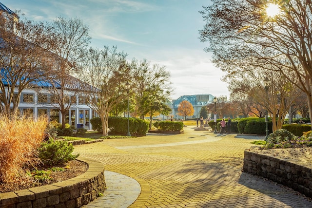 917 Dartmouth St, Chattanooga, TN 37405 - view of home's community
