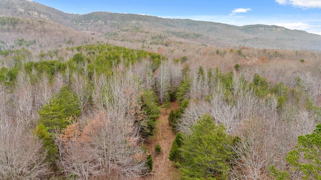 view of mountain feature