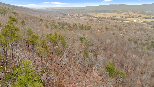 view of mountain feature