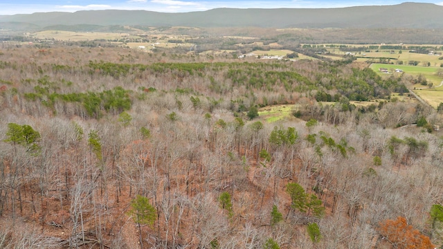 drone / aerial view with a mountain view