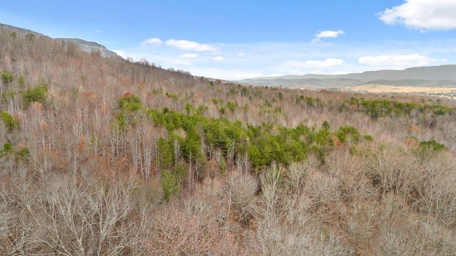 property view of mountains