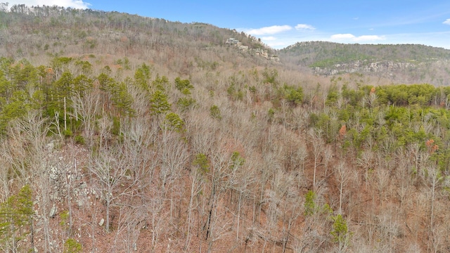 view of mountain feature