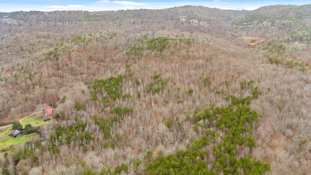 view of mountain feature