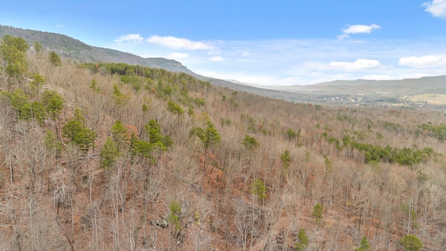 property view of mountains