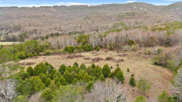 view of mountain feature