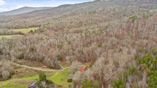 drone / aerial view featuring a mountain view