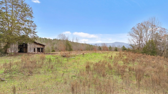 view of yard featuring a mountain view and an outdoor structure