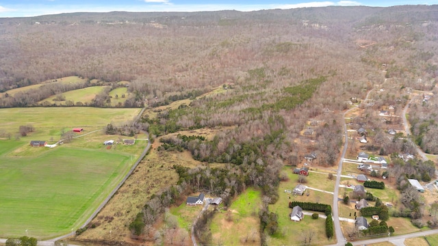 bird's eye view featuring a mountain view and a rural view