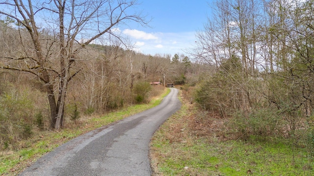 view of road