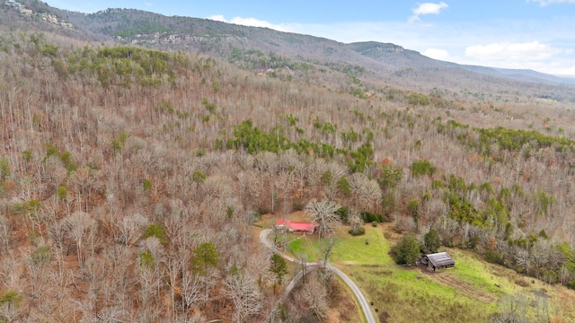 birds eye view of property with a mountain view