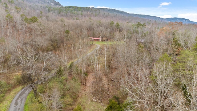 drone / aerial view with a mountain view