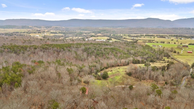 view of mountain feature