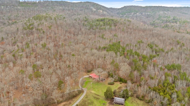 bird's eye view with a mountain view