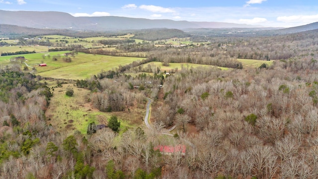 drone / aerial view with a mountain view