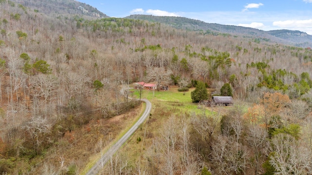 bird's eye view with a mountain view