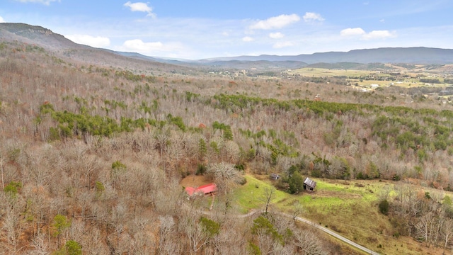 property view of mountains